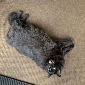 Meet your Posher, Gloria